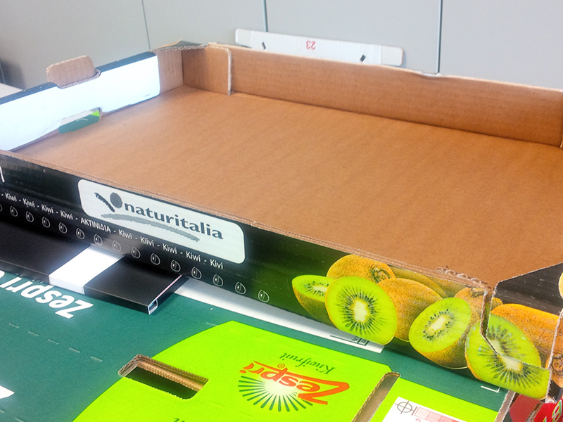 全自動紙箱成型機E3S