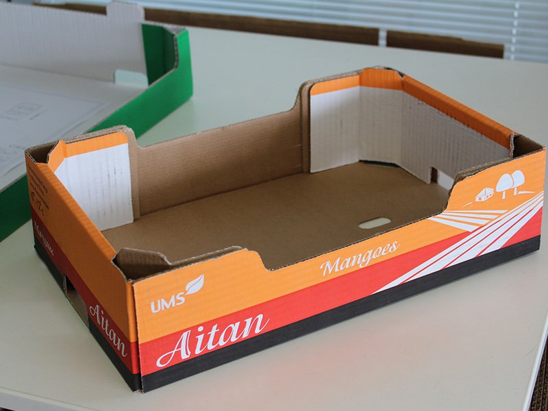 全自動紙箱成型機E3S