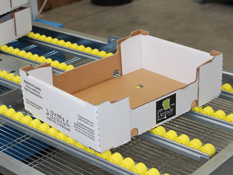 全自動紙箱成型機E3S